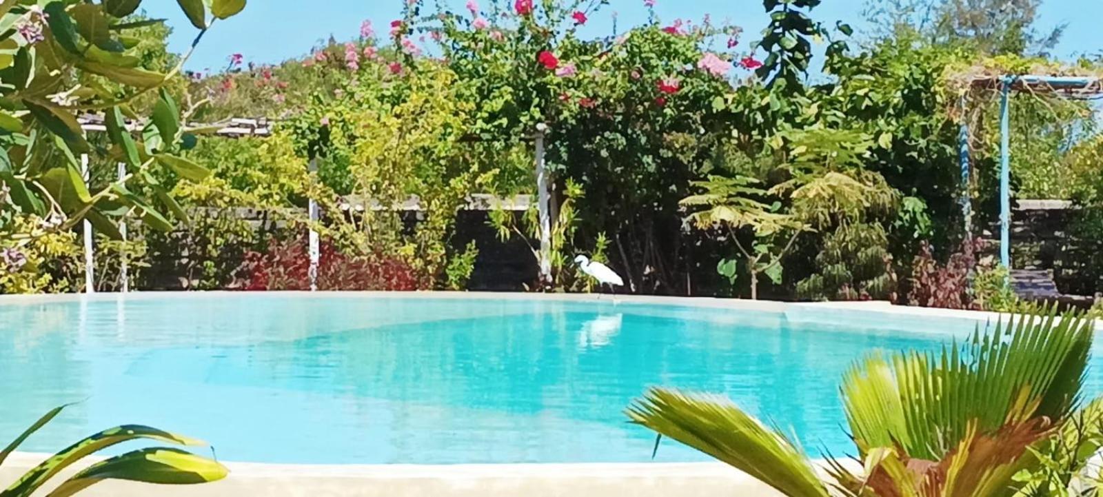 Matemwe Ocean View Villas Dış mekan fotoğraf
