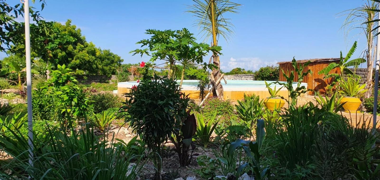 Matemwe Ocean View Villas Dış mekan fotoğraf