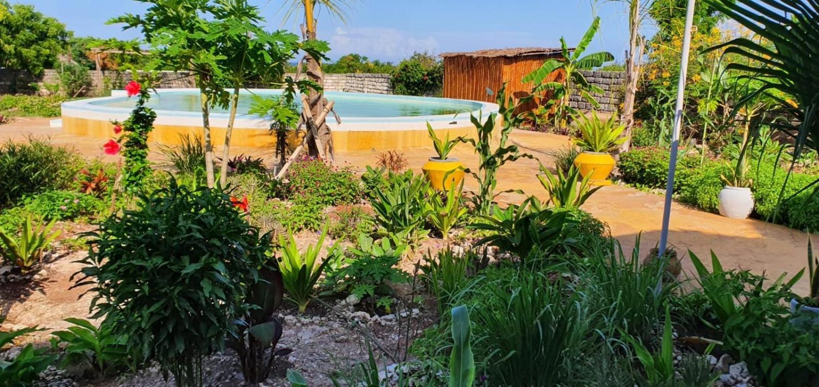 Matemwe Ocean View Villas Dış mekan fotoğraf
